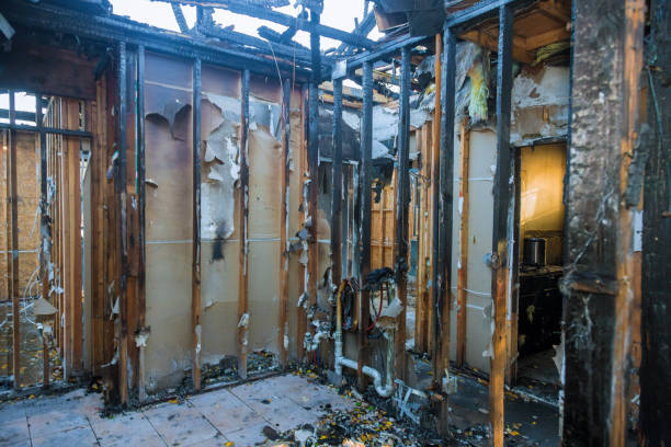 Professional Fire Damage Removal technician working in Edwardsville, PA